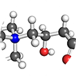 acetyl l carnitine 1