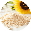 lecithin